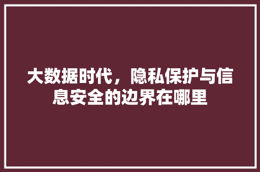大数据时代，隐私保护与信息安全的边界在哪里  第1张