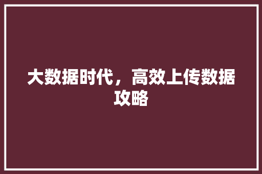 大数据时代，高效上传数据攻略