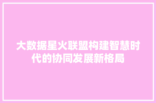 大数据星火联盟构建智慧时代的协同发展新格局  第1张