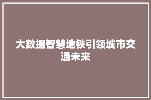 大数据智慧地铁引领城市交通未来