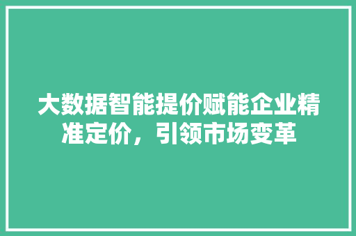 大数据智能提价赋能企业精准定价，引领市场变革