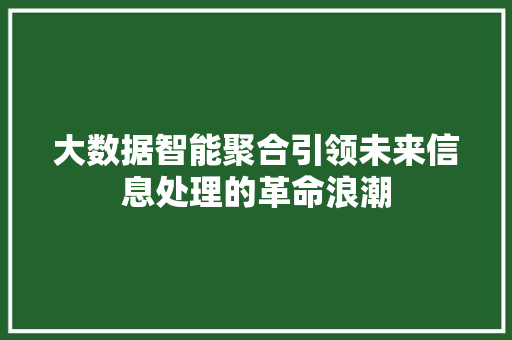 大数据智能聚合引领未来信息处理的革命浪潮  第1张