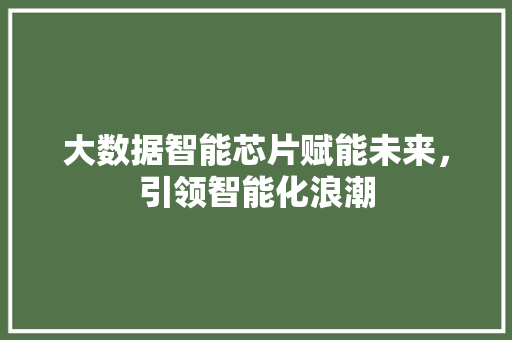 大数据智能芯片赋能未来，引领智能化浪潮  第1张