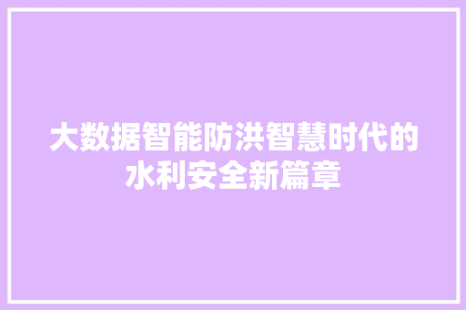 大数据智能防洪智慧时代的水利安全新篇章