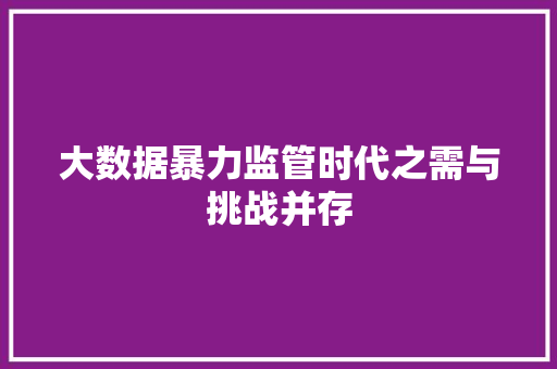 大数据暴力监管时代之需与挑战并存