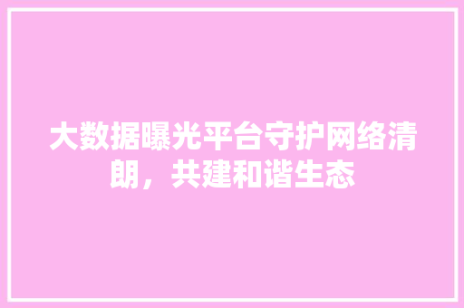 大数据曝光平台守护网络清朗，共建和谐生态