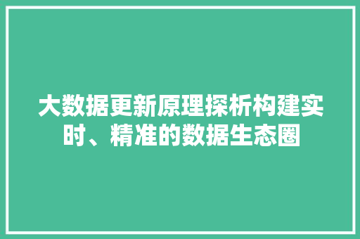 大数据更新原理探析构建实时、精准的数据生态圈