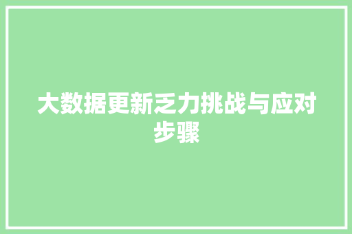 大数据更新乏力挑战与应对步骤  第1张