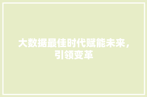大数据最佳时代赋能未来，引领变革