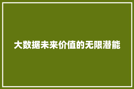 大数据未来价值的无限潜能