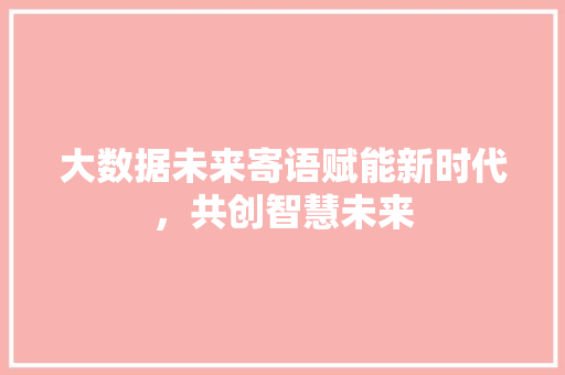 大数据未来寄语赋能新时代，共创智慧未来