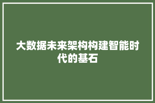 大数据未来架构构建智能时代的基石