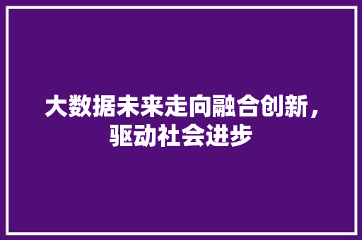 大数据未来走向融合创新，驱动社会进步