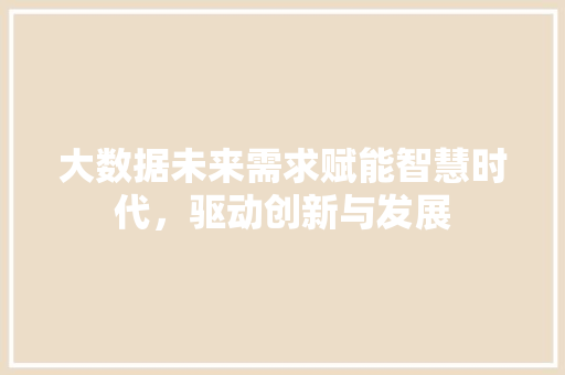 大数据未来需求赋能智慧时代，驱动创新与发展