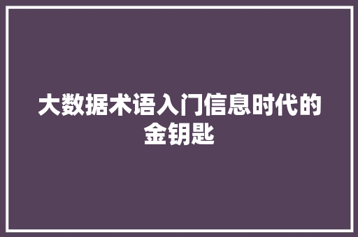 大数据术语入门信息时代的金钥匙