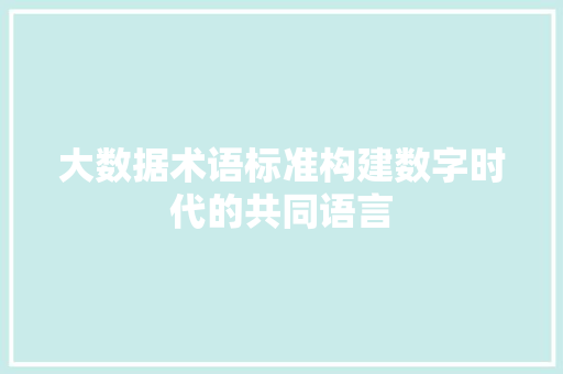 大数据术语标准构建数字时代的共同语言