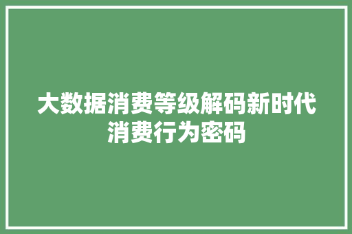 大数据消费等级解码新时代消费行为密码