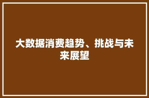 大数据消费趋势、挑战与未来展望  第1张