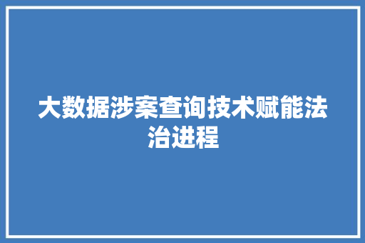 大数据涉案查询技术赋能法治进程