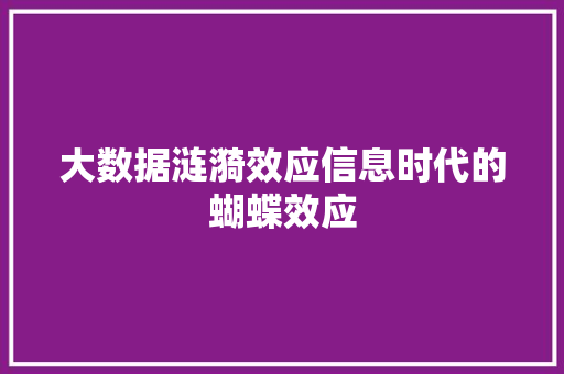 大数据涟漪效应信息时代的蝴蝶效应