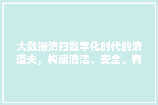 大数据清扫数字化时代的清道夫，构建清洁、安全、有序的网络环境