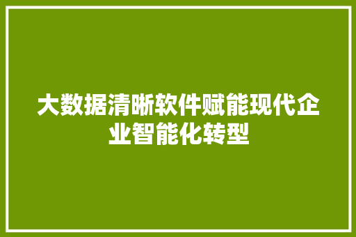 大数据清晰软件赋能现代企业智能化转型  第1张