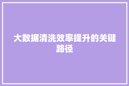 大数据清洗效率提升的关键路径  第1张