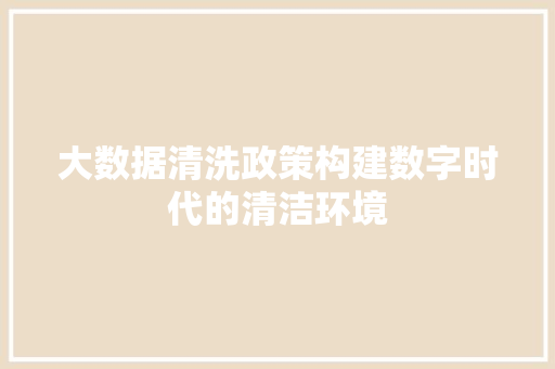 大数据清洗政策构建数字时代的清洁环境