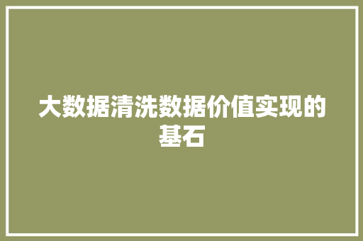 大数据清洗数据价值实现的基石  第1张