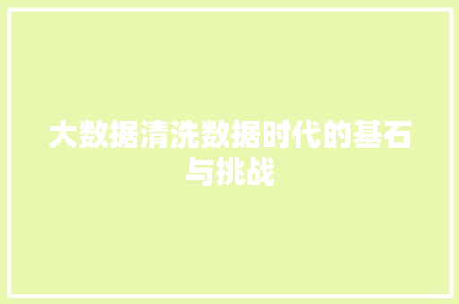 大数据清洗数据时代的基石与挑战  第1张