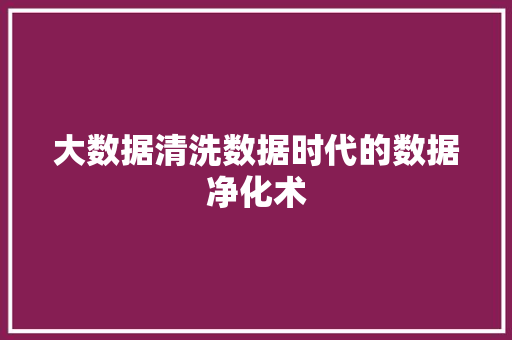 大数据清洗数据时代的数据净化术  第1张