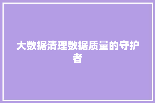 大数据清理数据质量的守护者