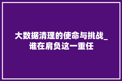 大数据清理的使命与挑战_谁在肩负这一重任