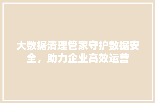大数据清理管家守护数据安全，助力企业高效运营