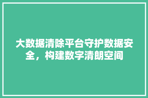 大数据清除平台守护数据安全，构建数字清朗空间  第1张