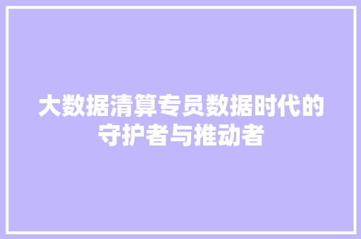 大数据清算专员数据时代的守护者与推动者