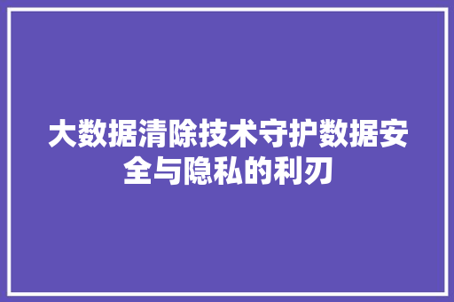 大数据清除技术守护数据安全与隐私的利刃