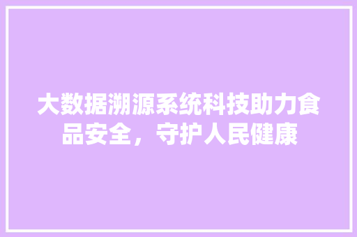 大数据溯源系统科技助力食品安全，守护人民健康  第1张