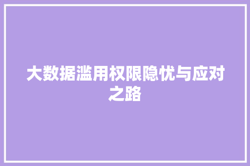 大数据滥用权限隐忧与应对之路
