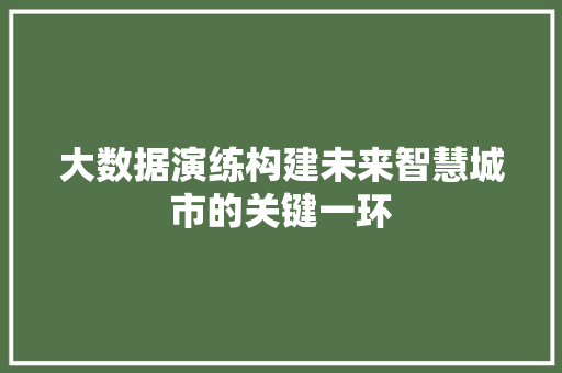 大数据演练构建未来智慧城市的关键一环