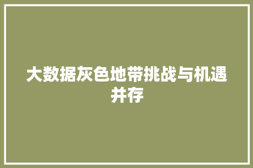 大数据灰色地带挑战与机遇并存