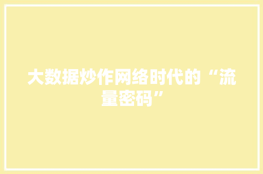大数据炒作网络时代的“流量密码”