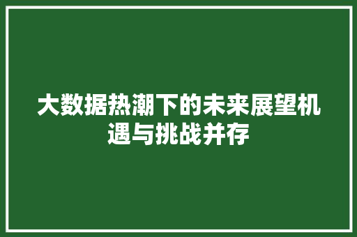 大数据热潮下的未来展望机遇与挑战并存  第1张