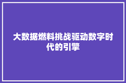 大数据燃料挑战驱动数字时代的引擎