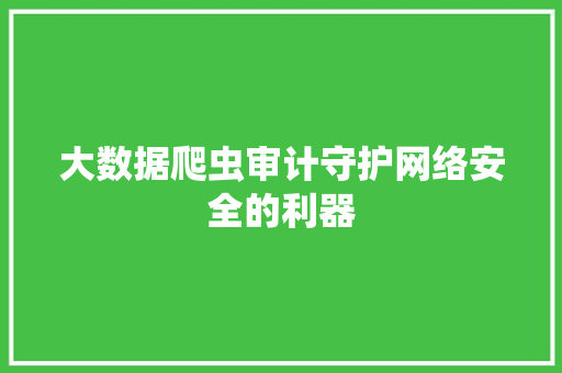 大数据爬虫审计守护网络安全的利器  第1张