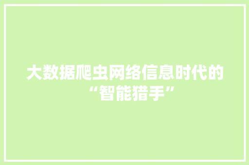 大数据爬虫网络信息时代的“智能猎手”  第1张
