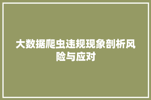 大数据爬虫违规现象剖析风险与应对  第1张
