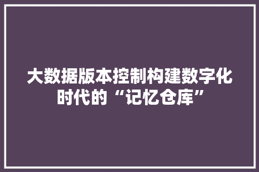 大数据版本控制构建数字化时代的“记忆仓库”
