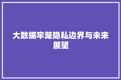 大数据牢笼隐私边界与未来展望  第1张