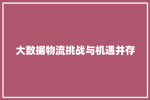 大数据物流挑战与机遇并存